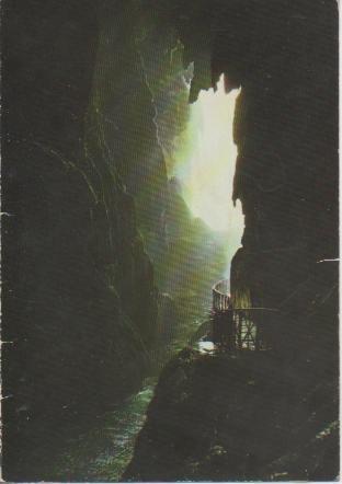 Postal E04931: Gruta de la Cola del Caballo. Monasterio de Piedra, Zaragoza