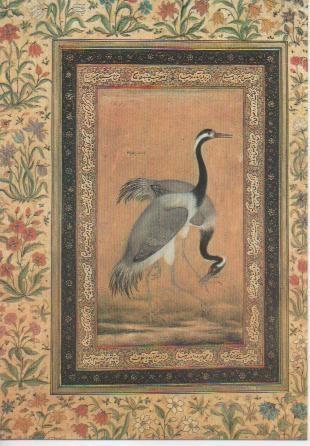 Postal E04905: a Pair Of Indian Saras (Cranes)