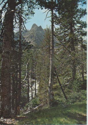 Postal E04990: Benasque-Pirineo Aragones Valle de Estos Batisielles-Ruta Ibon de la Escarpinosa