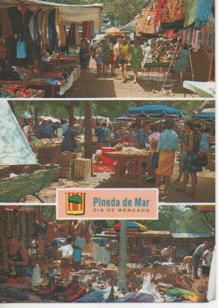 Postal E04993: Día de Mercado. Pineda de Mar, Ciosta Dorada