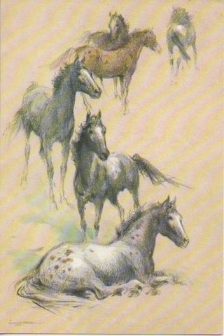 Postal E04803: Tarjeta Dibujo de Caballos