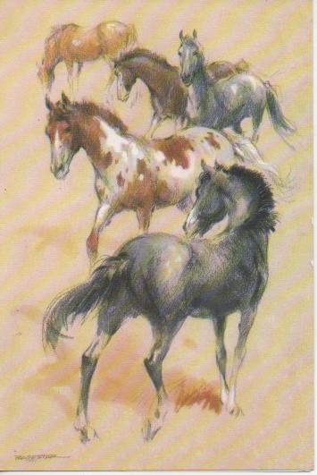 Postal E04804: Tarjeta Dibujos 5 Caballos