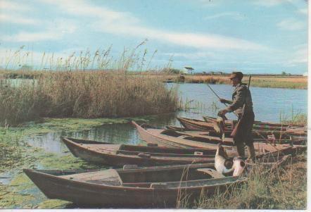 Postal E05150: Paisaje de la Albufera, Valencia