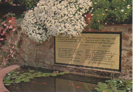 Postal E05112: Fundación Carlos Faust. Jardín Botánico "Mar i Murtra"