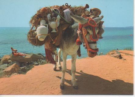 Postal E05059: Burro Botijero