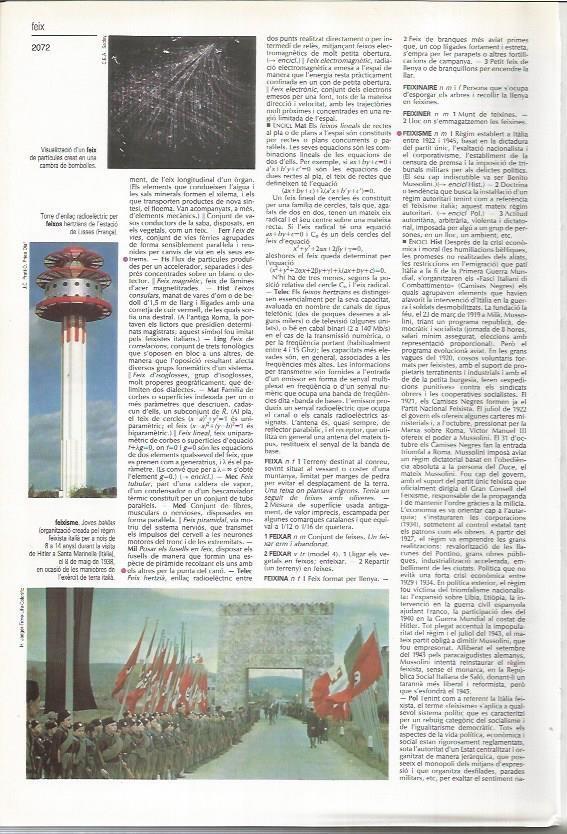 LAMINA LAROUSSE 70515: Fachismo