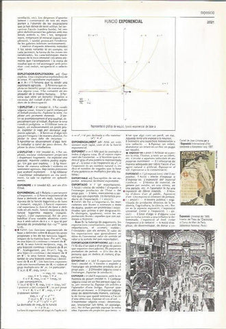 LAMINA LAROUSSE 70521: Funcion exponencial