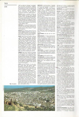 LAMINA LAROUSSE 70507: Vista general de Fez, Marruecos