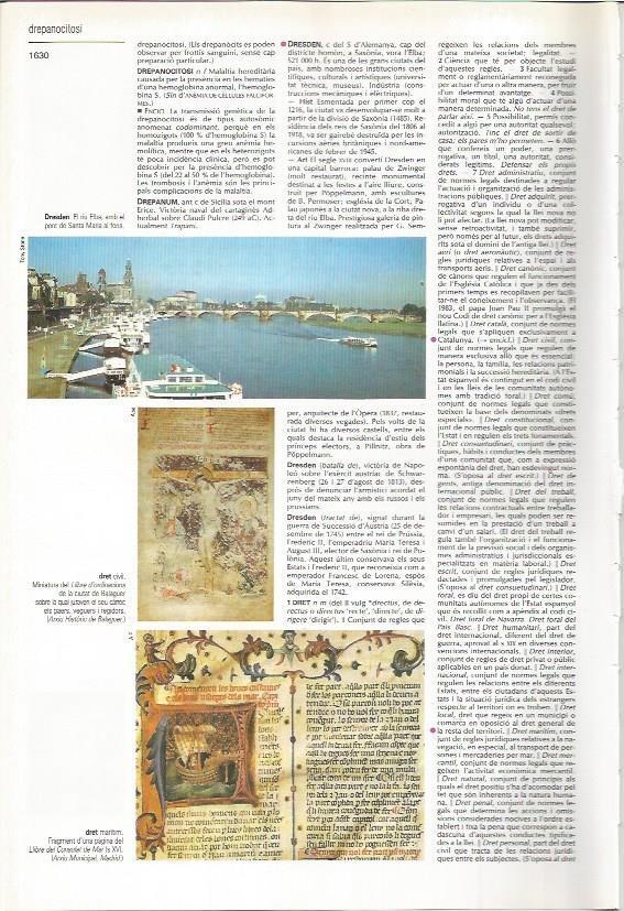 LAMINA LAROUSSE 70583: El rio Elba por Dresde