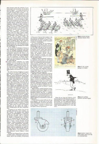 LAMINA LAROUSSE 70594: Dibujos humoristicos y satiricos