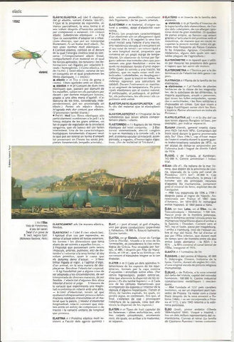 LAMINA LAROUSSE 70566: Isla de Elba