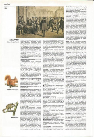 LAMINA LAROUSSE 70539: El motin de Esquilache, litografia de Donon