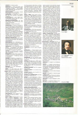 LAMINA LAROUSSE 70542: Vista de Espot, Lleida