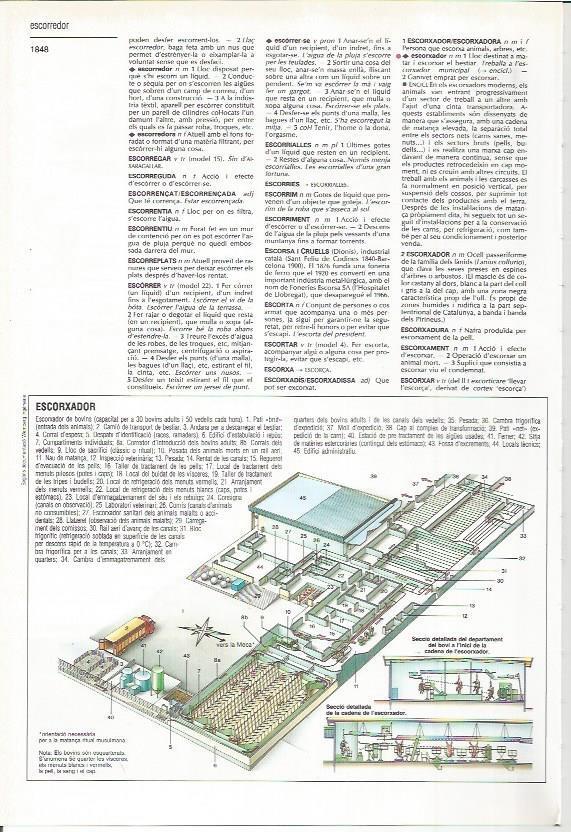 LAMINA LAROUSSE 70557: Matadero