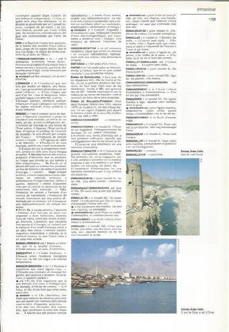 LAMINA LAROUSSE 70563: Paisajes de Emiratos Arabes Unidos