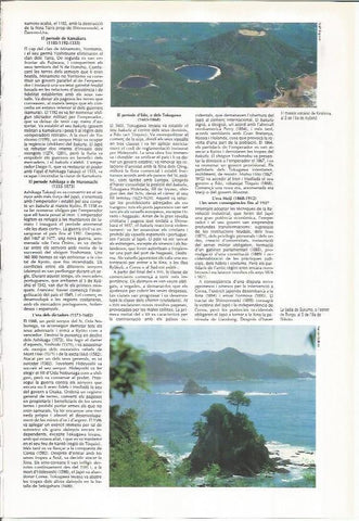 LAMINA LAROUSSE 70392: Volcan Krishima y bahia de Sukumo