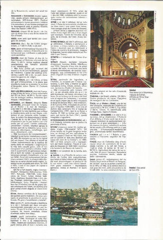 LAMINA LAROUSSE 70397: Interior de la mezquita de Suleiman y vista de Estambul