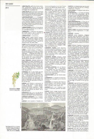 LAMINA LAROUSSE 70383: Sant Miquel del Fai, grabado de Laborde