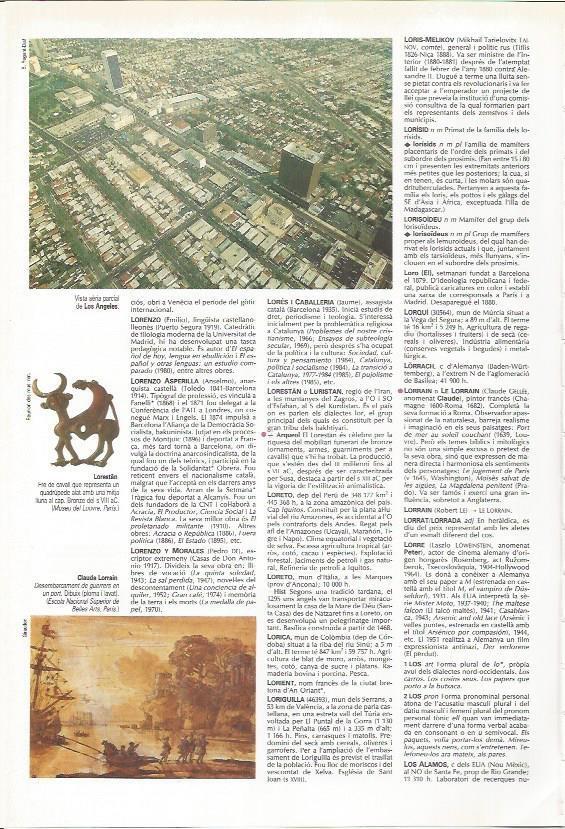 LAMINA LAROUSSE 70358: Vista aerea de Los Angeles