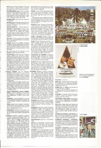 LAMINA LAROUSSE 70384: Gran Mezquita de Kuala Lumpur