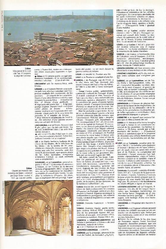 LAMINA LAROUSSE 70372: Vista de Lisboa