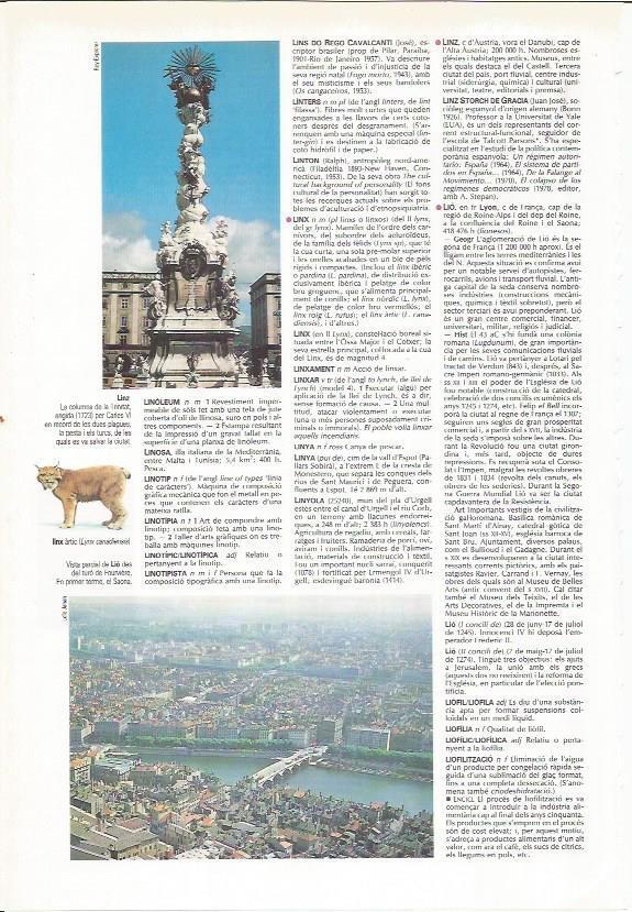LAMINA LAROUSSE 70373: Columna de la Trinidad y vista de Linz, Austria