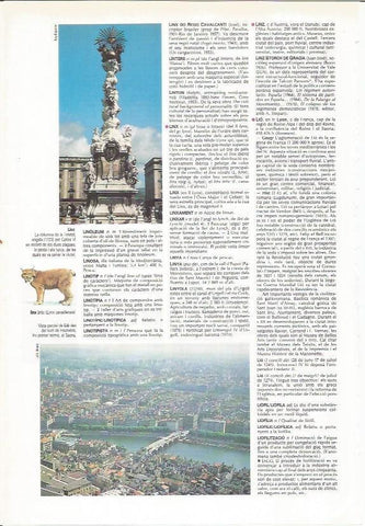 LAMINA LAROUSSE 70373: Columna de la Trinidad y vista de Linz, Austria