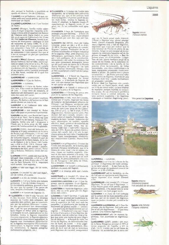LAMINA LAROUSSE 70370: Vista de Llagostera, Girona