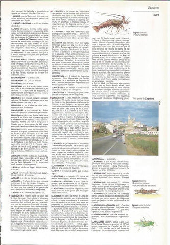 LAMINA LAROUSSE 70370: Vista de Llagostera, Girona