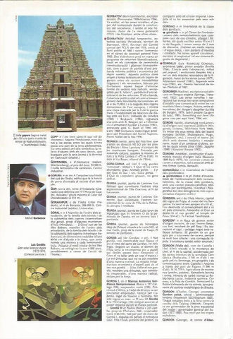 LAMINA LAROUSSE 70453: Vellai gupura, India
