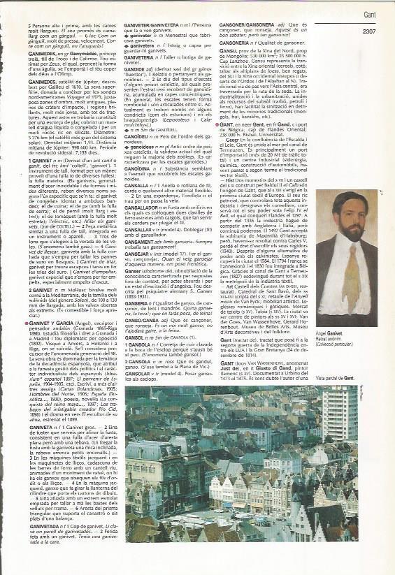 LAMINA LAROUSSE 70464: Vista parcial de Gant, Belgica