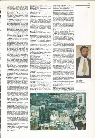 LAMINA LAROUSSE 70464: Vista parcial de Gant, Belgica