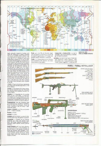 LAMINA LAROUSSE 70469: Mapamundi horario y fusil