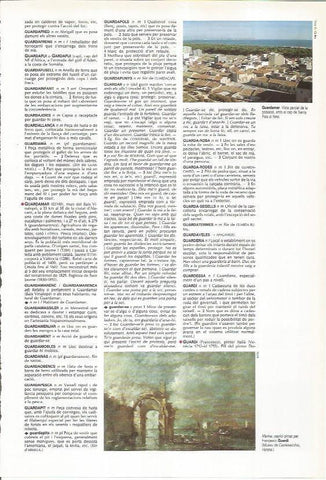 LAMINA LAROUSSE 70446: Vista de Guadamar, Alicante
