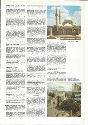 LAMINA LAROUSSE 70428: Mezquita de Homs  y vista de Tegucigalpa