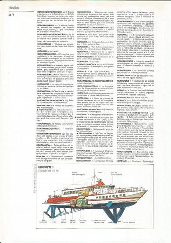 LAMINA LAROUSSE 70433: Hidroptero