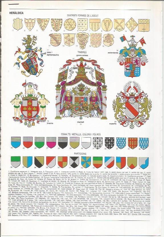 LAMINA LAROUSSE 70434: Tipos de escudo