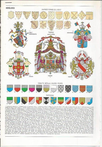 LAMINA LAROUSSE 70434: Tipos de escudo