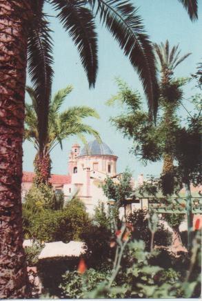 Postal E06297: Parque del Dr. Calatayud. Aspe