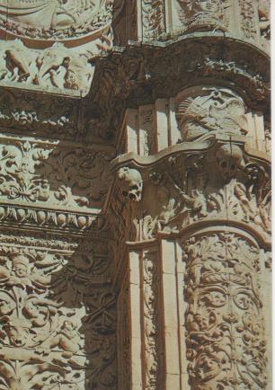 Postal E06262: Detalle Fachada Universidad (Rana).Salamanca