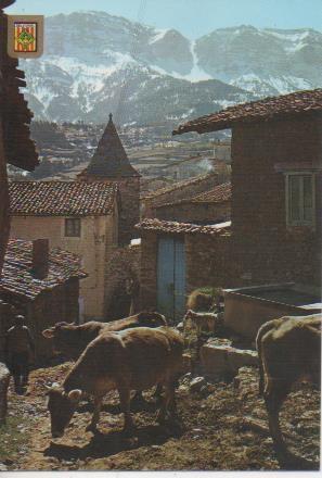 Postal E06269: Vista parcial, al fons Serra del Cadí. Querforadat