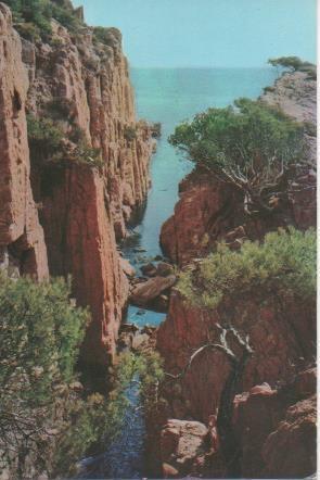 Postal E06311: Cala de Muiar-San Feliu de Guixols. Costa Brava
