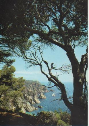 Postal E06317: Acantilados de Sa Cova-Lloret de Mar. Costa Brava