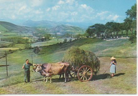 Postal E06173: Paisaje montañes. Carreta típica. Santander