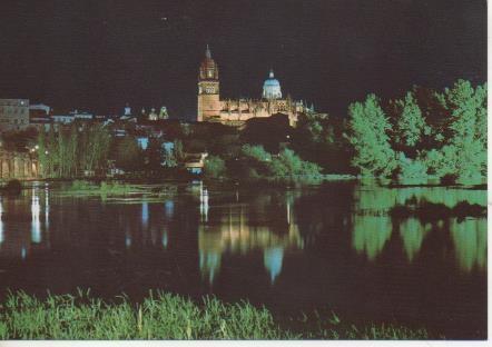 Postal E06131: Vista parcial nocturna. Salamanca