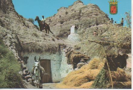 Postal E06146: Cuevas de Purullena
