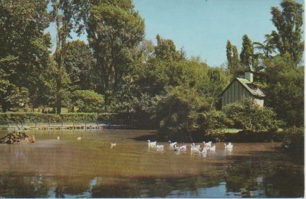 Postal E06221: Parque.Estanque. Bilbao