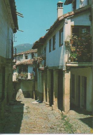Postal E06241: Calle típica. Guadalupe