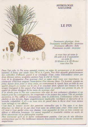 Postal E06369: Astrologie Gaulose