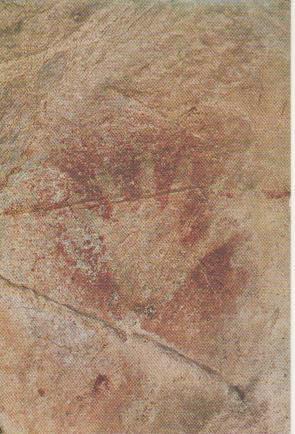 Postal E06555: Mano. Cuevas Prehistóricas. Puente Viesgo
